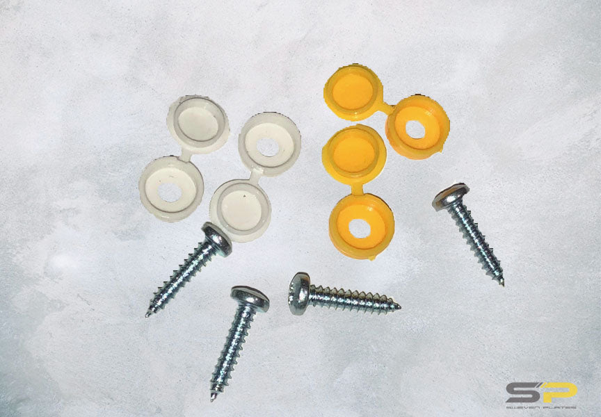 Number plate Fixing Screws